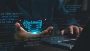 Data Organization