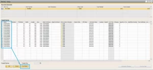 SAP B1 Auto-Batch Management
