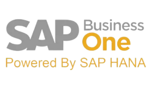 SAP B1 HANA