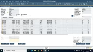 SAP B1 Trip Planning Add-On