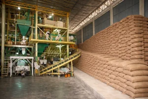 ERP for rice mills