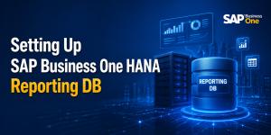 SAP Business One HANA Reporting DB